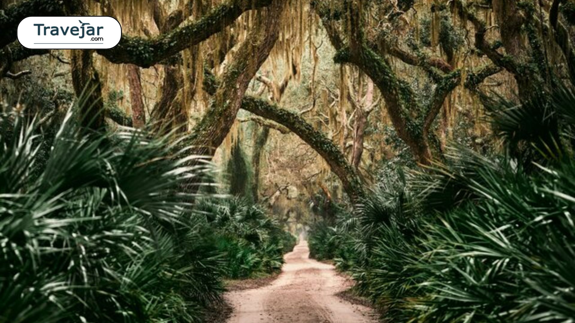 Top Things To Do In Georgia: Must-Visit Attractions & Activities